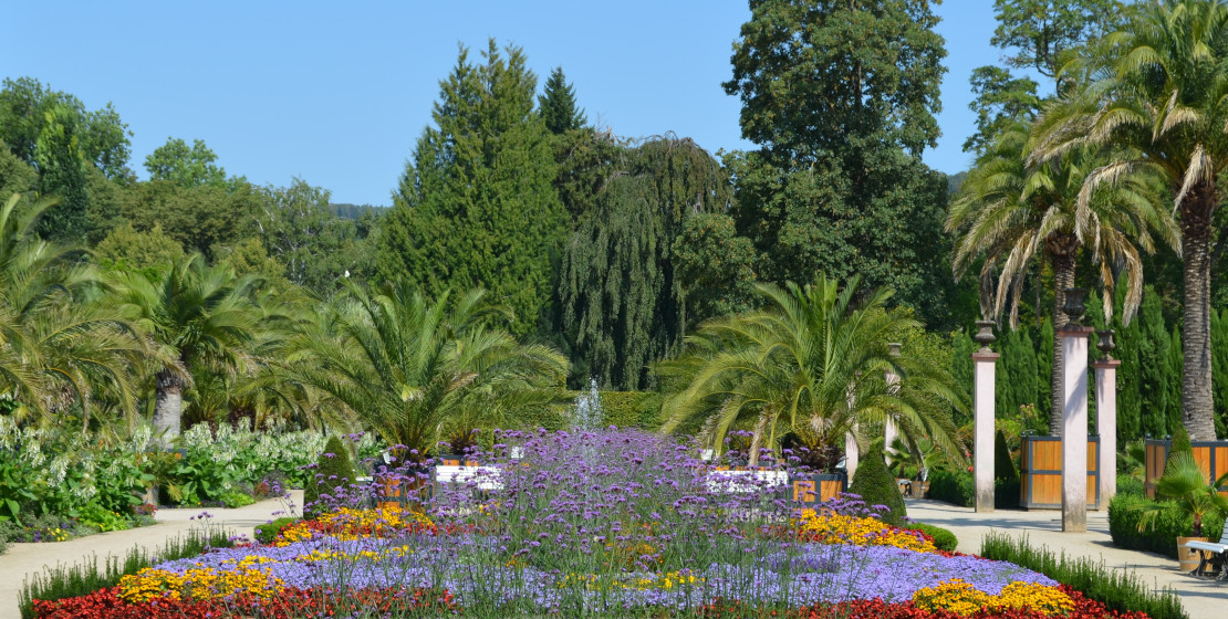 web-bf-badpyrmont-Palmengarten-gross