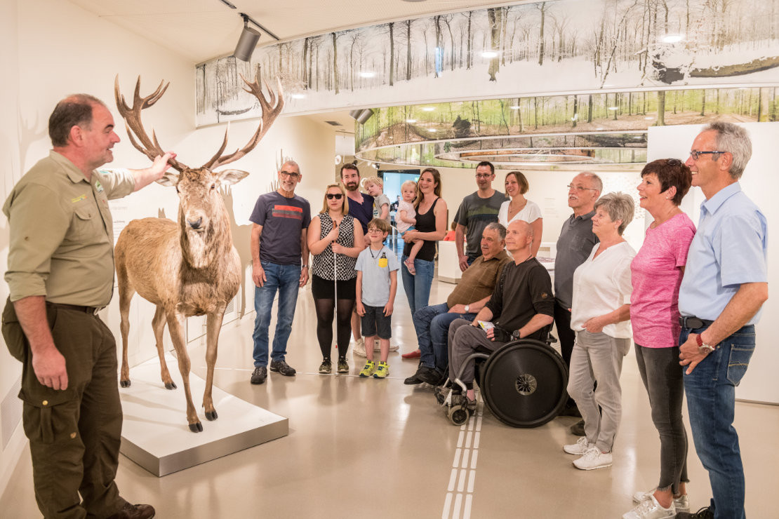 news-be-2022-ag-leichter-reisen-erlebnisausstellung-wildnistraeume-im-nationalpark-eifel-dominik-ketz