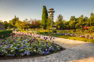 Park der Gärten in Bad Zwischenahn - © Markus Tiemann
