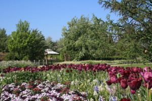 Blumenarrangement im Park der Gärten - © Bad Zwischenahner Touristik GmbH