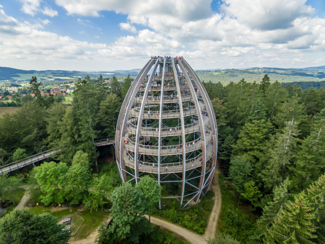 Der 44 Meter hoher Baumturm als Höhepunkt des Baumwipfelpfades im Nationalpark Bayerischer Wald - © Erlebnis Akademie AG