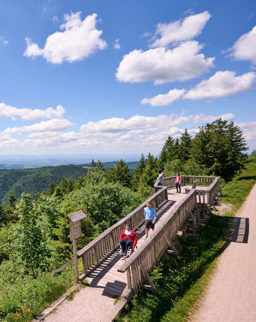 bfe-2023-schwarzwald-SW-1000m_Weg-TMBW_Jens Wegener-teaser