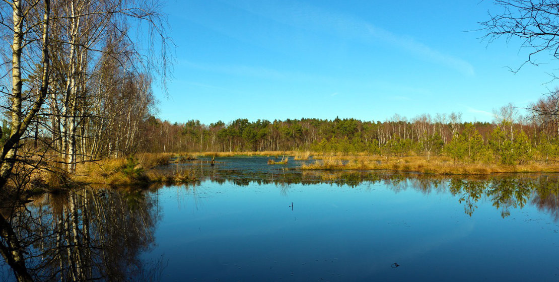 news-2023-barrierefrei-erleben-niedersachsen-pietzmoor-schneverdingen-stilfee-pixabay-titel