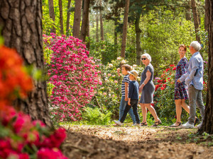 news-2023-barrierefrei-erleben-ag-leichter-reisen-ostfriesland-westerstede-touristik-spaziergang-teaser