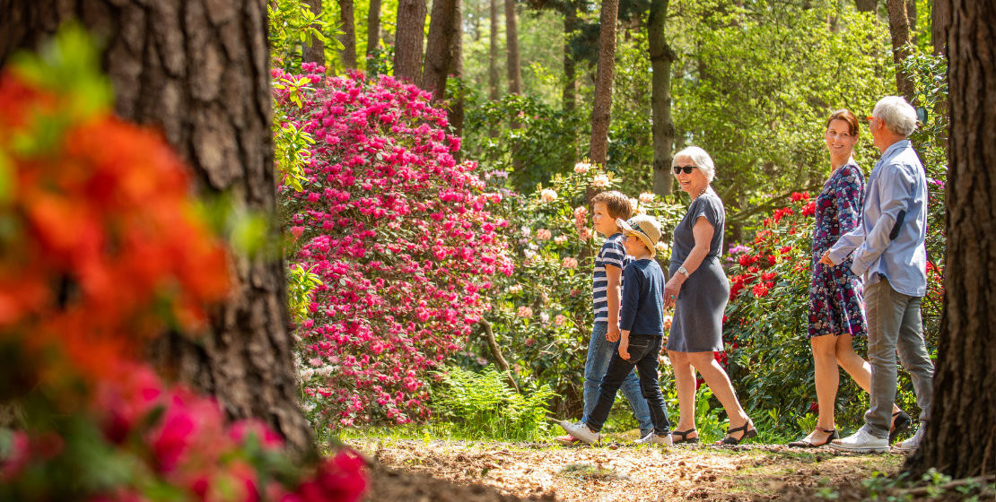 Rhododendronpark Hobbie in Westerstede