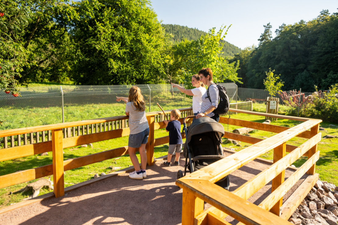 Wild- und Wanderpark Silz - Top-Ziel für Menschen mit Mobilitätseinschränkungen an der Südlichen Weinstraße ist der Wild- und Wanderpark Silz - © Dominik Ketz Wild- und Wanderpark Silz - Top-Ziel für Menschen mit Mobilitätseinschränkungen an der Südlichen Weinstraße ist der Wild- und Wanderpark Silz - © Dominik Ketz
