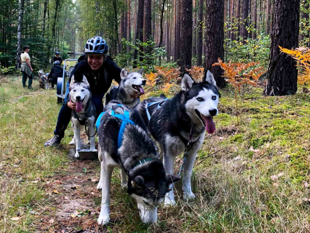 news-2024-barrierefrei-erleben-husky-tour-tourismusverband-ruppiner-seenland-ev