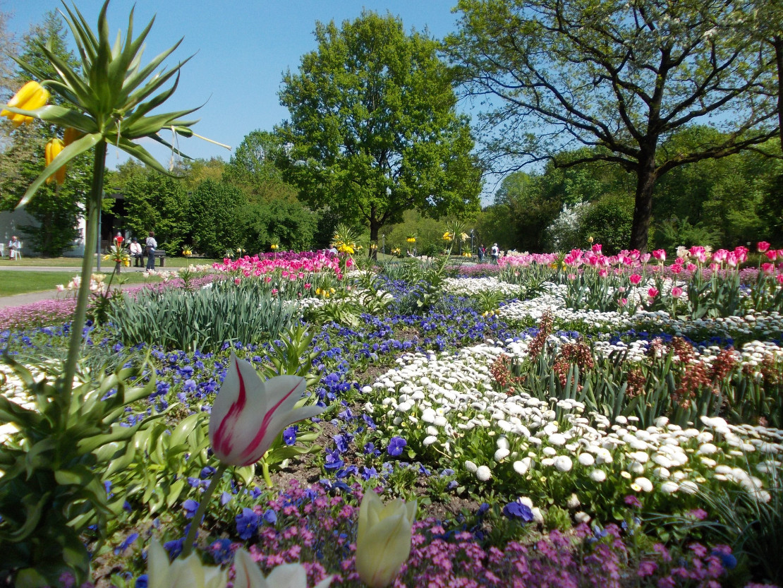 BE-BadFuessing-Blumen