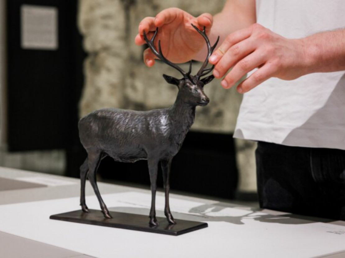 barrierefrei-erleben-2025-ktg-karlsruhe-tourismus-gmbh-weiterkommen-taxonomie-fuer-alle-mathias-vielsaecker-naturkundemuseum