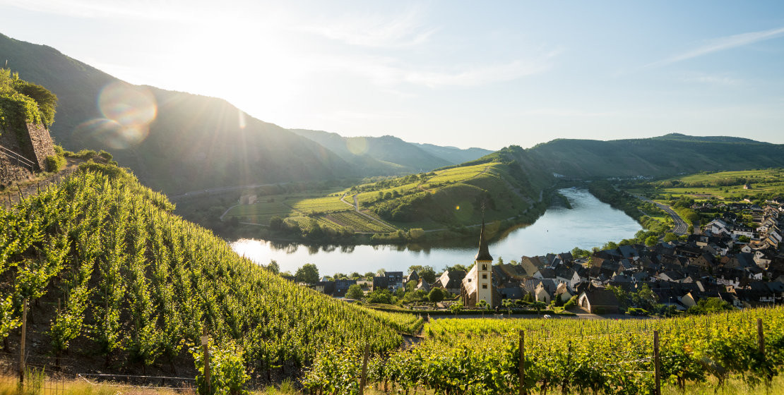 barrierefrei-erleben-2025-rheinland-pfalz-blick-auf-den-bremmer-calmont-dominik-ketz-titel