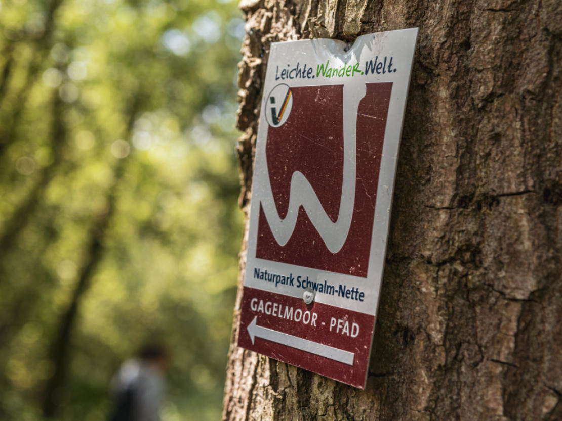 barrierefrei-erleben-2025-niederrhein-gagelmoor-pfad-naturpark-schwalm-nette-gymi-media-gmbh
