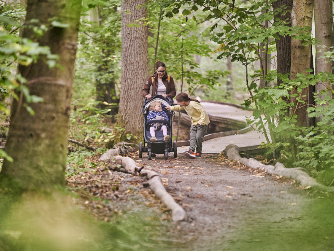 barrierefrei-erleben-2025-thueringen-waldpromenade-hainich-familie-2