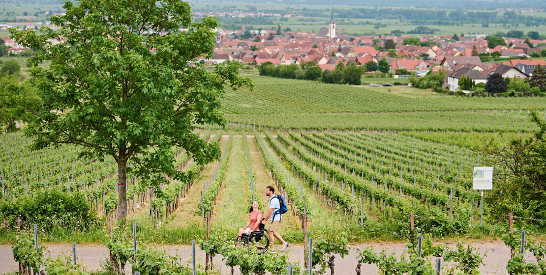news-2025-be-ag-leichter-reisen-suedliche-weinstrasse-rs11751-maikammer-7719-titel