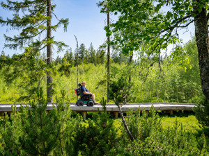 Barrierefreies Wandern mit Rollstuhl im Finsterauer Filz © Woidlife Photography