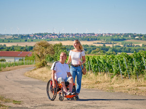 Rollstuhlgerechte Rundwege durch die Weinberge Eppelsheims. Foto: © Robert Dieth | Tourist Info Alzeyer Land