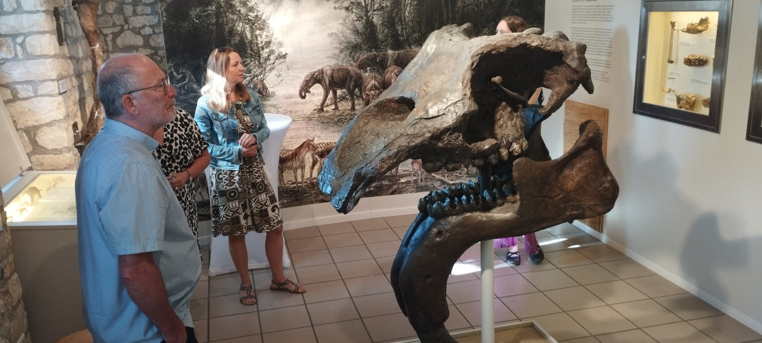 news-2025-be-alzeyer-land-eppelsheim-Dinotheriummuseum-barrierefrei-rollstuhlgerecht