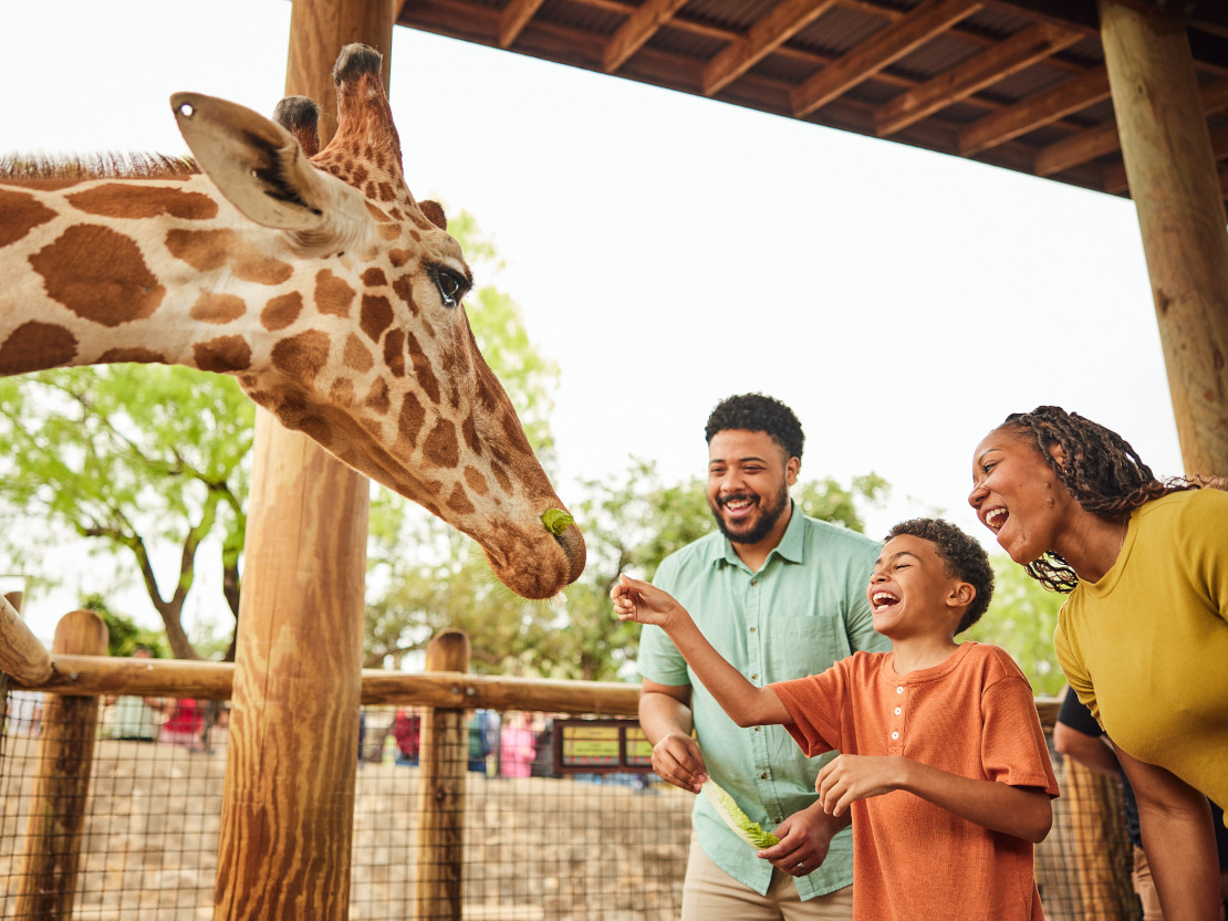 barrierefrei-erleben-2026-san-antonio-usa-zoo-sensory-inclusive-autismus
