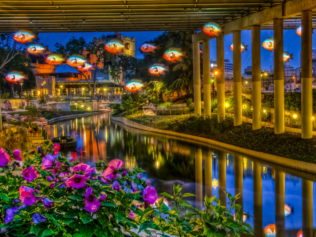 barrierefrei-erleben-2026-san-antonio-usa-fish-exhibit-art-museum