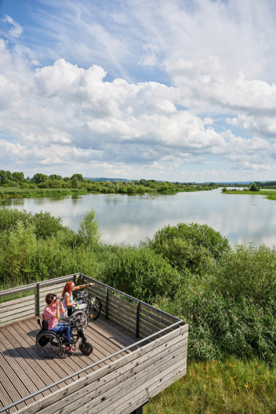 Barrierefreie Aussichtsplatform - Aussichtsplattforma auf der Vogelinsel im Altmühlsee. - © TV Fränkisches Seenland, Jens Wegener