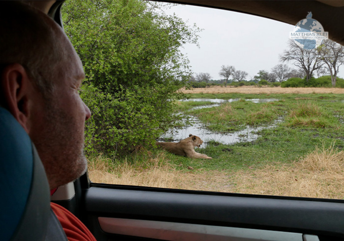 Auf Safari in Botswana. - © Matthias Klei