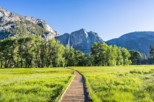 Yosemite Nationalpark - © David H. Collier