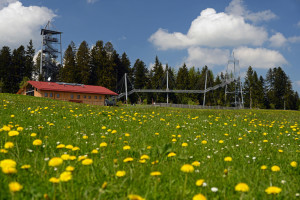 Natur pur - © Thomas Gretler