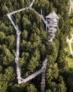 Die Waldwelt mit vollständig befahrbarem Baumwipfelpfad | © Stefan Kuhn