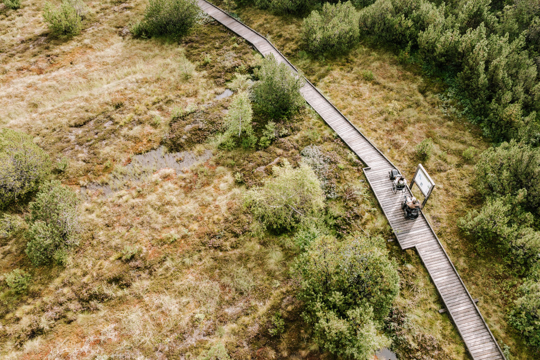 Piller Moor Wanderweg - © Die West GmbH