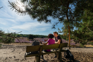 Westruper Heide - © Patrick Gawandtka