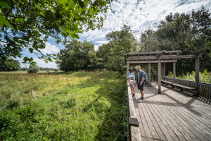 Barrierefreie Aussichtplattformen - © Dennis Stratmann | Proshooto.com