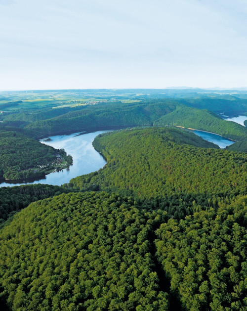 Buchenwald im Nationalpark Kellerwald-Edersee | © Manfred Bauer