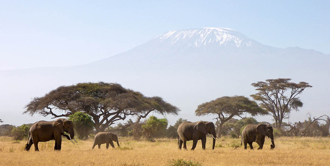 Traumhaftes Urlaubsziel in Afrika - Kenia.