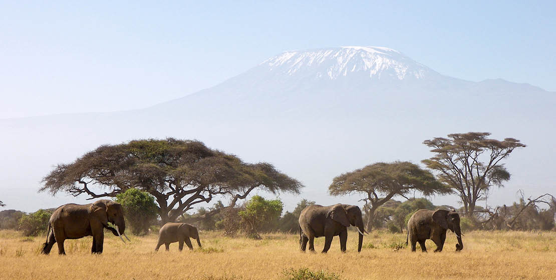 2019-barrierefrei-kenia-slider