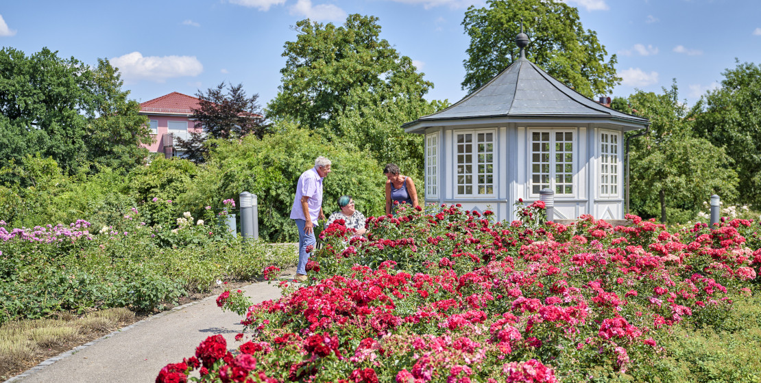 Welterberegion Wartburg Hainich