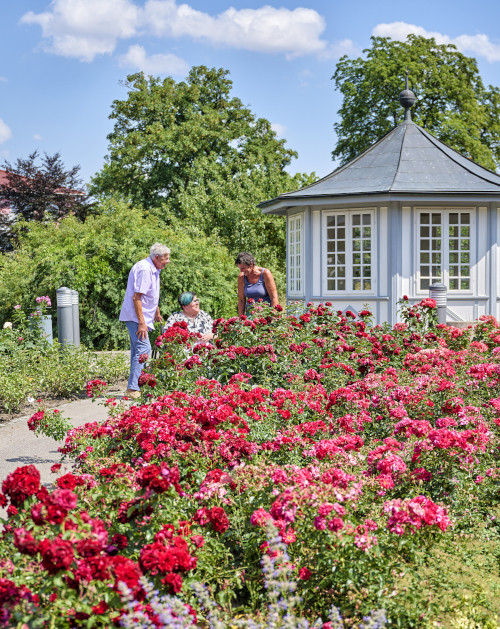 Rosengarten in Bad Langensalza | © Florian Trykowski