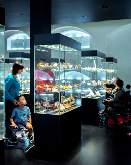 Mineralien, Edelsteine und Meteoriten aus der ganzen Welt im Museum Terra Mineralia in Freiberg | © freiheitswerke | Fotoagentur Wolf