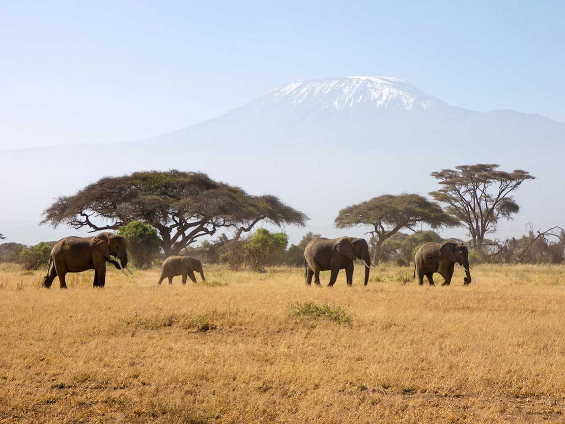 So muss ein Urlaub sein - für Familie Mössinger-Soyhan ist Kenia ein Traumziel. - © Axel Mössinger und Zuhal Mössinger-Soyhan