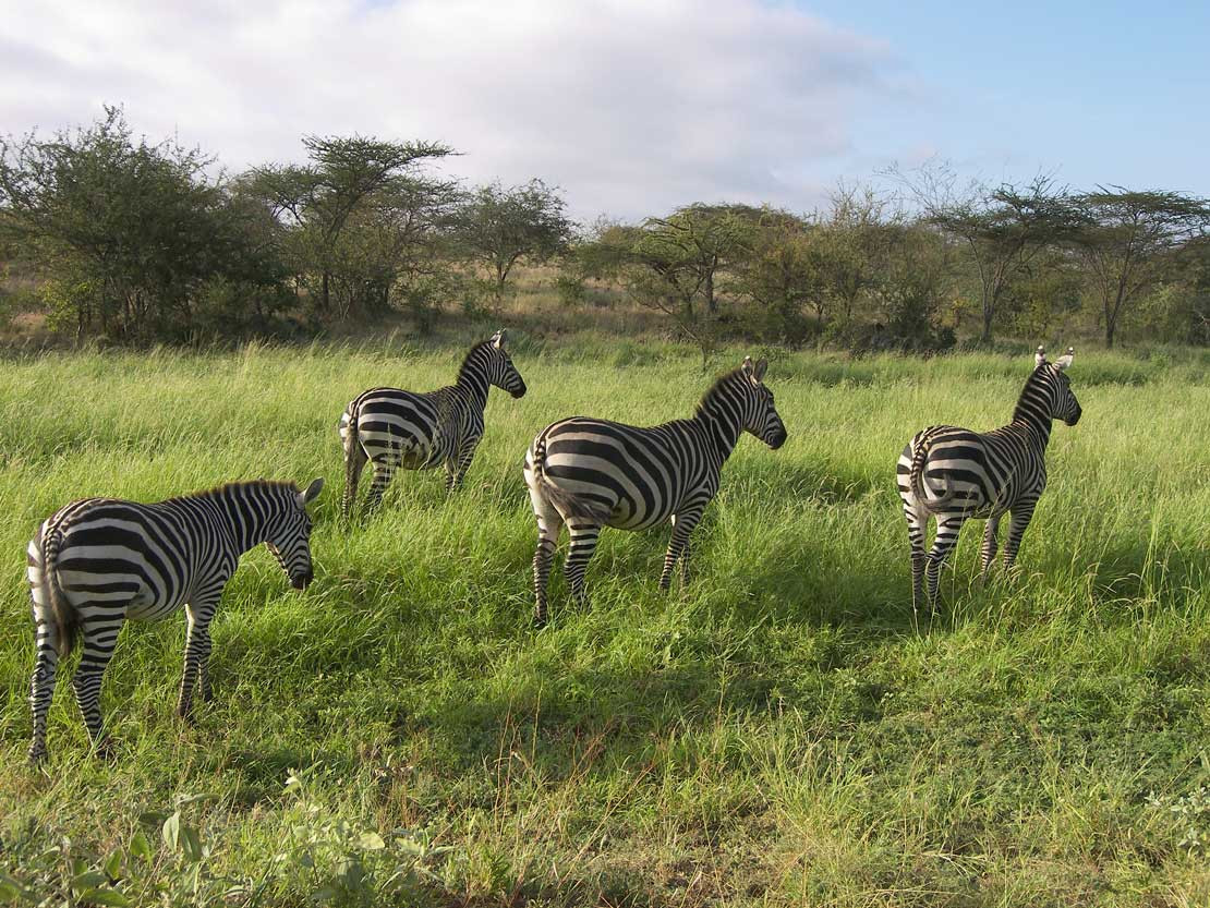 2019-barrierefrei-kenia-100-9205