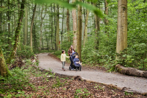 Barrierefreie Waldpromenade - © Florian Trykowski
