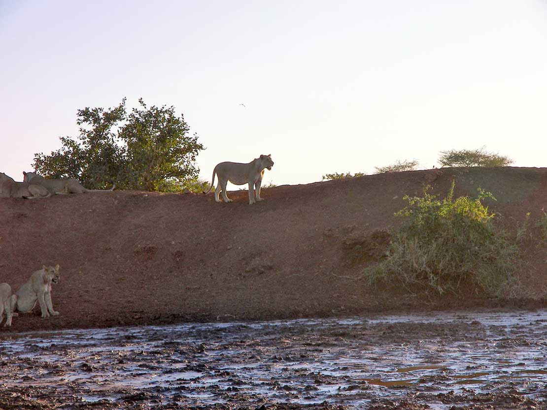 2019-barrierefrei-kenia-100-9139