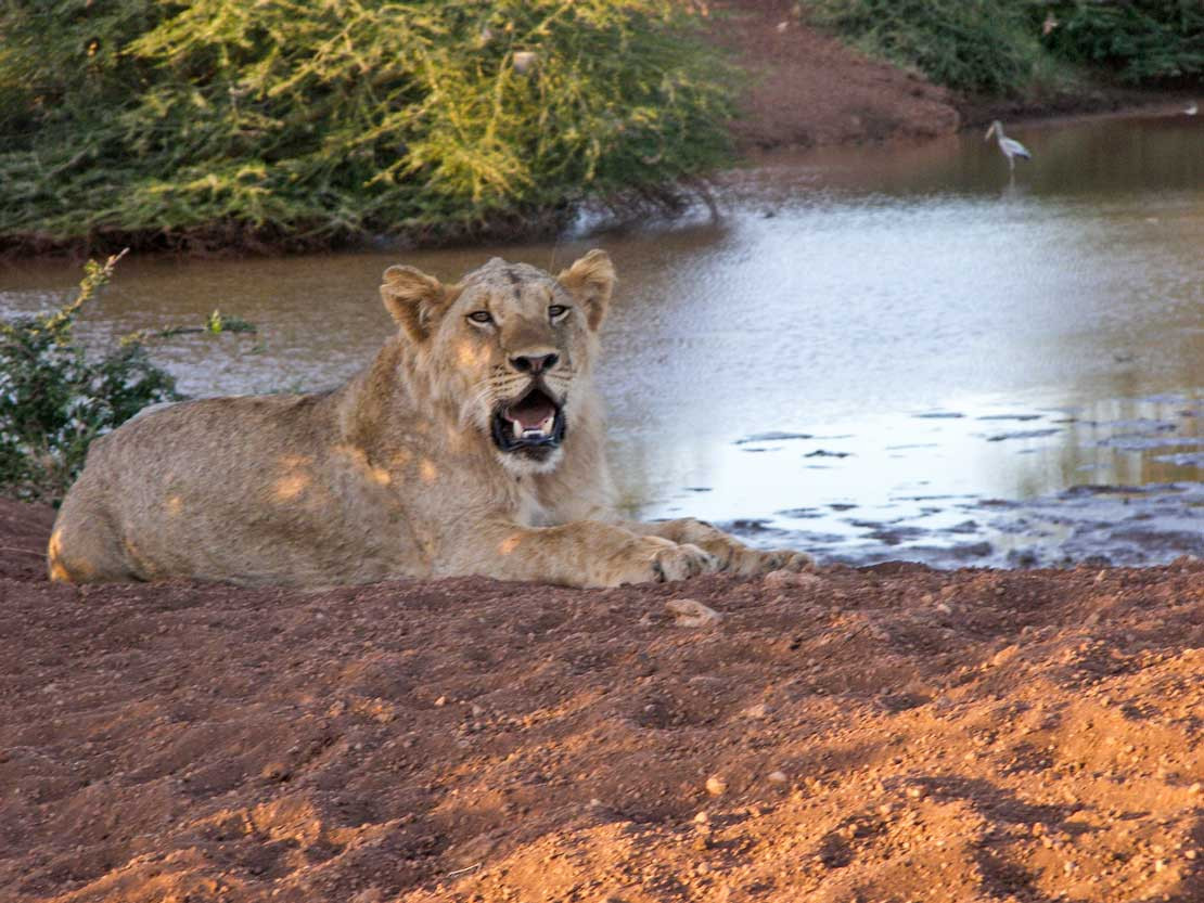 2019-barrierefrei-kenia-100-9160