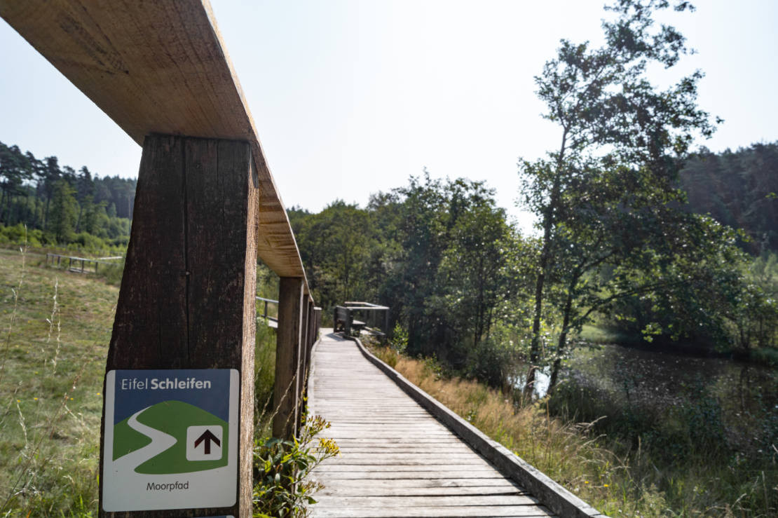Eifelschleife Moorpfad Dahlem - Wandern auf der Eifelschleife Moorpfad Dahlem ist auch barrierefrei möglich. - © Nordeifel Tourismus GmbH