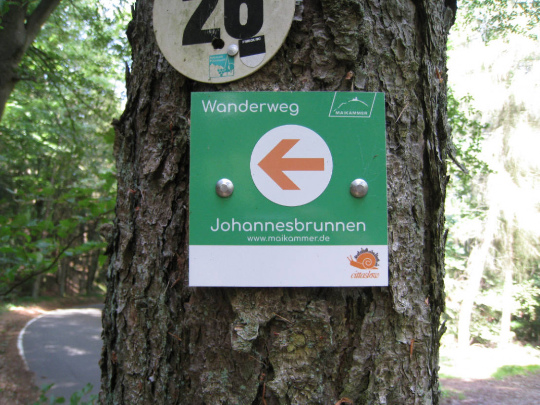 Wanderweg Johannesbrunnen in Maikammer - Wanderweg Johannesbrunnen in Maikammer in der Region Südliche Weinstraße. - © Südliche Weinstrasse e. V.