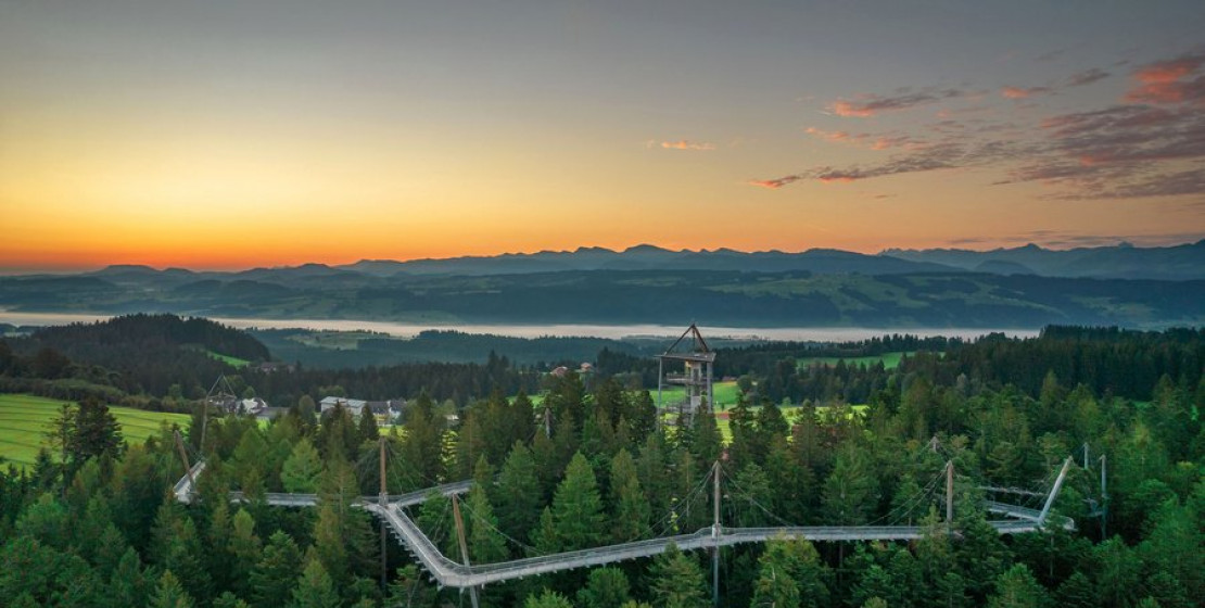 Den Wald im Allgäu mit allen Sinnen erleben