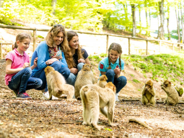 Wild- und Erlebnispark Daun. Foto: © Eifel Tourismus GmbH I Dominik Ketz