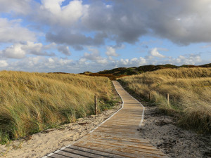 Der Frühling zeigt sich in Ostfriesland von seiner schönsten Seite. Foto: © Edward Köhler auf Pixabay