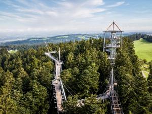 Der Herbst taucht die Allgäuer Waldwelt in goldene Farben. Im Skywalk Allgäu befindet man sich auf Höhe der Baumwipfel. Foto: © djd/Waldwelt Allgäu/Stefan Kuhn