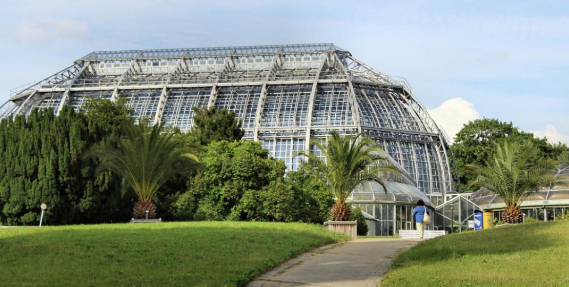 Botanischer Garten Berlin neu im Programm Bei Anruf Kultur