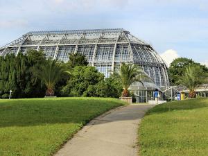 Botanischer Garten Berlin erstmals niedrigschwellig per Telefon erlebbar. Foto: © Hans Benn auf Pixabay
