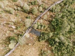 Das Piller Moor mit seinen barrierefreien Wanderwegen von oben | © Die West GmbH